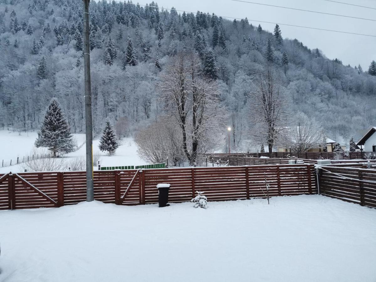 Cabana Lucia Tarcău Exterior foto